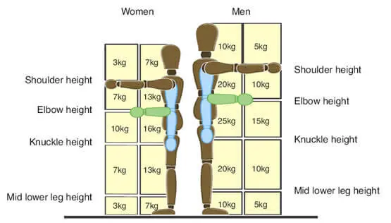 Illustration of manual handling maximum weight limits for safe lifting at work